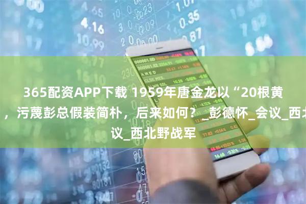 365配资APP下载 1959年唐金龙以“20根黄瓜事件”，污蔑彭总假装简朴，后来如何？_彭德怀_会议_西北野战军